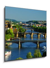 Obraz   View of Charles Bridge in Prague from Letensky gardens., 50 x 50 cm