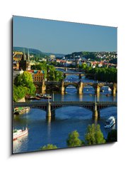 Obraz 1D - 50 x 50 cm F_F64860561 - View of Charles Bridge in Prague from Letensky gardens.