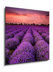 Sklenn obraz 1D - 50 x 50 cm F_F64900250 - Stunning landscape with lavender field at sunset