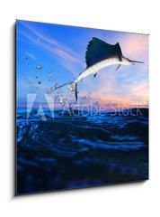 Obraz 1D - 50 x 50 cm F_F65260791 - sailfish flying over blue sea ocean - plachetnice ltn pes modr mosk ocen