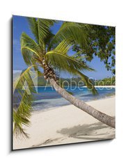 Obraz 1D - 50 x 50 cm F_F65416367 - Tropical Paradise - Fiji - South Pacific Ocean - Tropický ráj