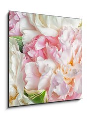 Obraz 1D - 50 x 50 cm F_F66072347 - Blooming peonies - Kvetoucí pivoňky