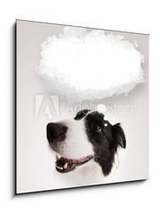 Obraz   Cute dog with empty cloud bubble, 50 x 50 cm