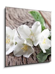 Obraz 1D - 50 x 50 cm F_F66432530 - Jasmine flowers over old wooden table.