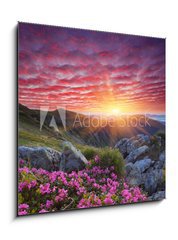 Obraz 1D - 50 x 50 cm F_F66580383 - Dawn with flowers in the mountains