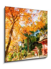 Obraz 1D - 50 x 50 cm F_F66639036 - Tanzan Shrine - Svatyně Tanzan