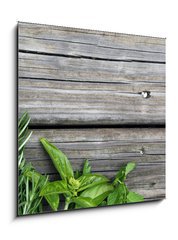 Sklenn obraz 1D - 50 x 50 cm F_F67467429 - herbs - byliny