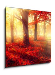 Obraz 1D - 50 x 50 cm F_F69511191 - Fall scene. Beautiful autumnal park in sunlight - Scna na podzim. Krsn podzimn park na slunci