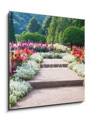 Obraz 1D - 50 x 50 cm F_F69808368 - Flower Garden
