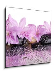 Obraz 1D - 50 x 50 cm F_F70327716 - flowers and black stones with reflection
