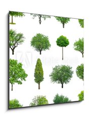 Obraz 1D - 50 x 50 cm F_F70577212 - tree