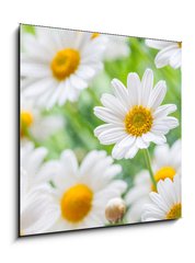 Obraz 1D - 50 x 50 cm F_F71635240 - naure power