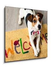 Sklenn obraz 1D - 50 x 50 cm F_F73116832 - Cute dog posing on the carpet