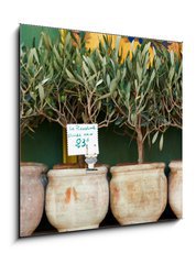 Sklenn obraz 1D - 50 x 50 cm F_F73385366 - Olive trees bonsai - Olivovnky bonsai