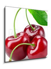 Obraz 1D - 50 x 50 cm F_F74224960 - Cherry with leaf isolated on white. - Tee s listy izolovanch na blm.