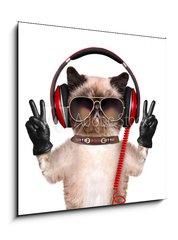 Obraz 1D - 50 x 50 cm F_F74275081 - Cat headphones. - Kokov sluchtka.