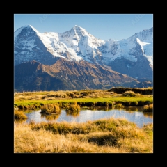 Obraz 1D - 50 x 50 cm F_F77312300 - Eiger, Mnch und Jungfrau