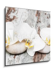 Obraz 1D - 50 x 50 cm F_F78194063 - beautiful orchid with stones