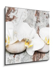 Obraz 1D - 50 x 50 cm F_F78194063 - beautiful orchid with stones - krsn orchidej s kameny