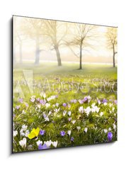 Obraz 1D - 50 x 50 cm F_F78313786 - abstract sunny beautiful Spring background - abstraktn slunn krsn jarn pozad