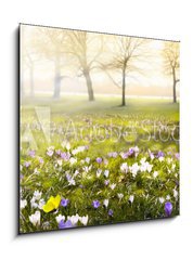 Obraz 1D - 50 x 50 cm F_F78313786 - abstract sunny beautiful Spring background