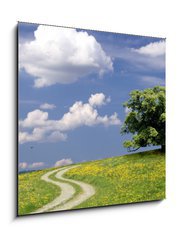 Sklenn obraz 1D - 50 x 50 cm F_F7861110 - Weg zur Ruhe