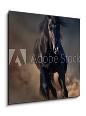 Obraz 1D - 50 x 50 cm F_F78859419 - Beautiful black stallion run in desert dust against sunset sky