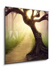 Obraz 1D - 50 x 50 cm F_F79255911 - Forest pathway