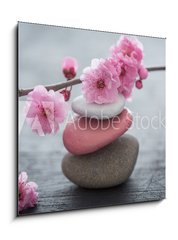 Sklenn obraz 1D - 50 x 50 cm F_F79754664 - fleurs zen