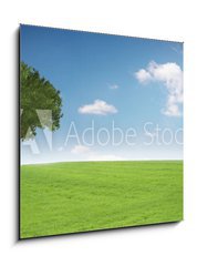 Sklenn obraz 1D - 50 x 50 cm F_F81510276 - Landschaft mit Baum - Krajina se stromem