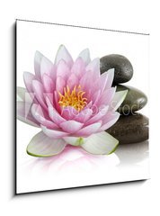 Sklenn obraz 1D - 50 x 50 cm F_F8408992 - Fleur de lotus et galets zen