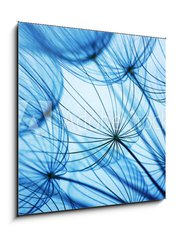 Obraz 1D - 50 x 50 cm F_F84440352 - Dandelion