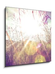 Obraz 1D - 50 x 50 cm F_F84657670 - Sun rays on a meadow - Slunen paprsky na louce