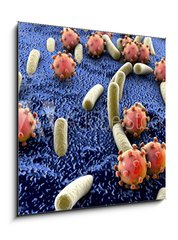 Obraz 1D - 50 x 50 cm F_F89000179 - Bacteria and viruses on surface of skin, mucous membrane or intestine, model of MERS, HIV, flu, Escherichia coli, Salmonella, Klebsiella, Legionella, Mycobacterium tuberculosis, model of microbes