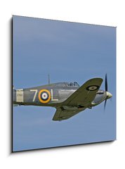 Obraz   1941 hawker sea hurricane in flight, 50 x 50 cm