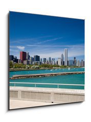 Obraz 1D - 50 x 50 cm F_F903982 - chicago skyline