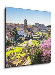 Obraz 1D - 50 x 50 cm F_F90731336 - The aerial view of Roman Forum in Rome, Italy