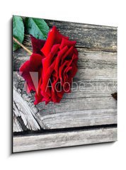 Obraz 1D - 50 x 50 cm F_F90974590 - Red rose and butterfly on an old wooden table