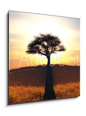 Sklenn obraz 1D - 50 x 50 cm F_F91708972 - sunset and tree - zpad slunce a strom