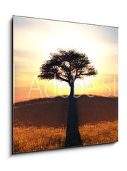 Obraz 1D - 50 x 50 cm F_F91708972 - sunset and tree - západ slunce a strom