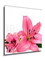 Sklenn obraz 1D - 50 x 50 cm F_F9265067 - Pink lily