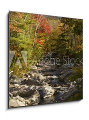 Sklenn obraz 1D - 50 x 50 cm F_F93409854 - The Baker River flows through fall foliage, Warren, New Hampshir - Baker River protk podzimn list, Warren, New Hampshir