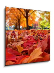Sklenn obraz 1D - 50 x 50 cm F_F95226612 - autumn leaves