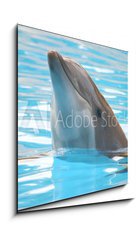 Obraz 1D - 50 x 50 cm F_F95423 - delfn - dolphin