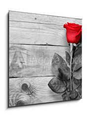 Obraz 1D - 50 x 50 cm F_F95876705 - Red rose on black and white wooden background - erven re na ernm a blm devnm pozad