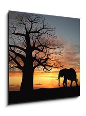 Obraz 1D - 50 x 50 cm F_F9699496 - Group of elephant in africa - Skupina slonů v Africe