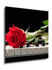 Sklenn obraz 1D - 50 x 50 cm F_F98331602 - piano keys and red rose - klavrn kle a erven re