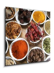 Obraz 1D - 50 x 50 cm F_F9904421 - Spices for the World - Koen pro svt