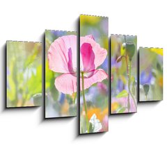 Obraz 5D ptidln - 150 x 100 cm F_GB100106194 - summer meadow with red poppy