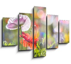 Obraz 5D ptidln - 150 x 100 cm F_GB100107634 - spring meadow with red poppies